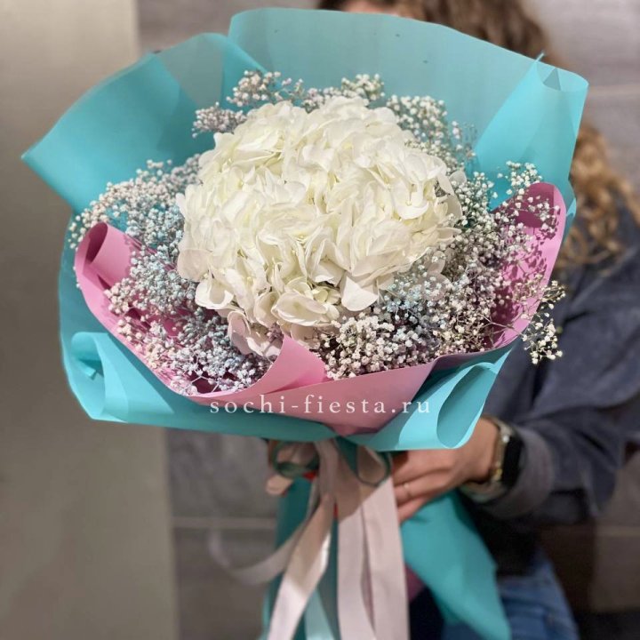 Гортензия "Райдов" в Лимассоле