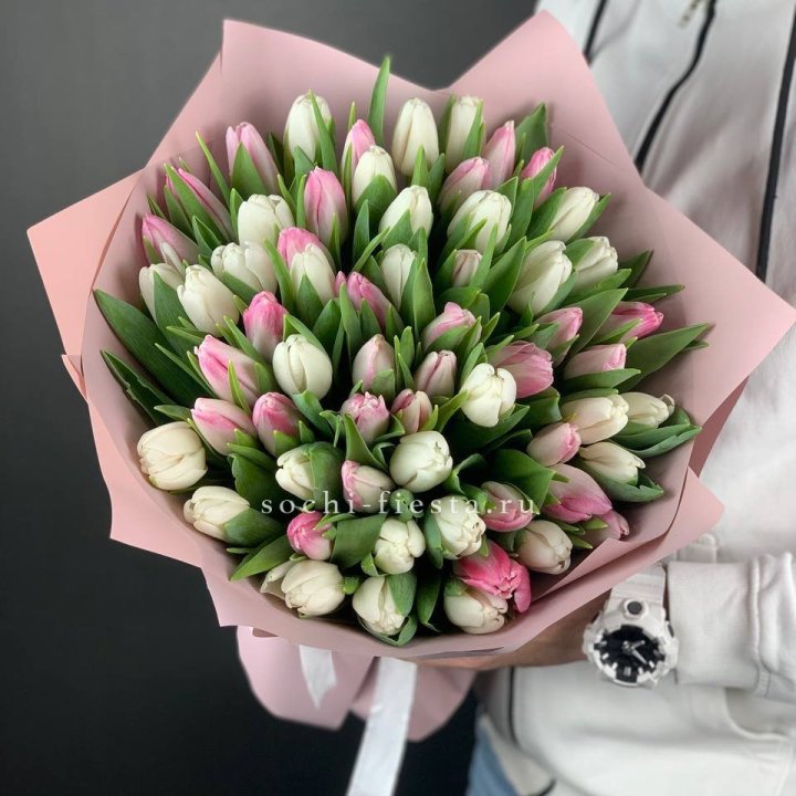 61 тюльпан микс в Лимассоле